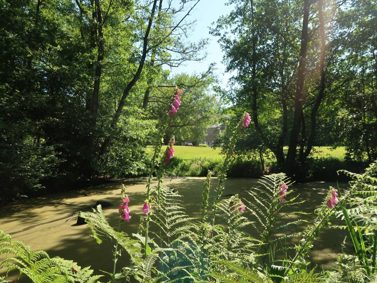 Landgoed Guyoche Bed and Breakfast Vieux-Viel Εξωτερικό φωτογραφία